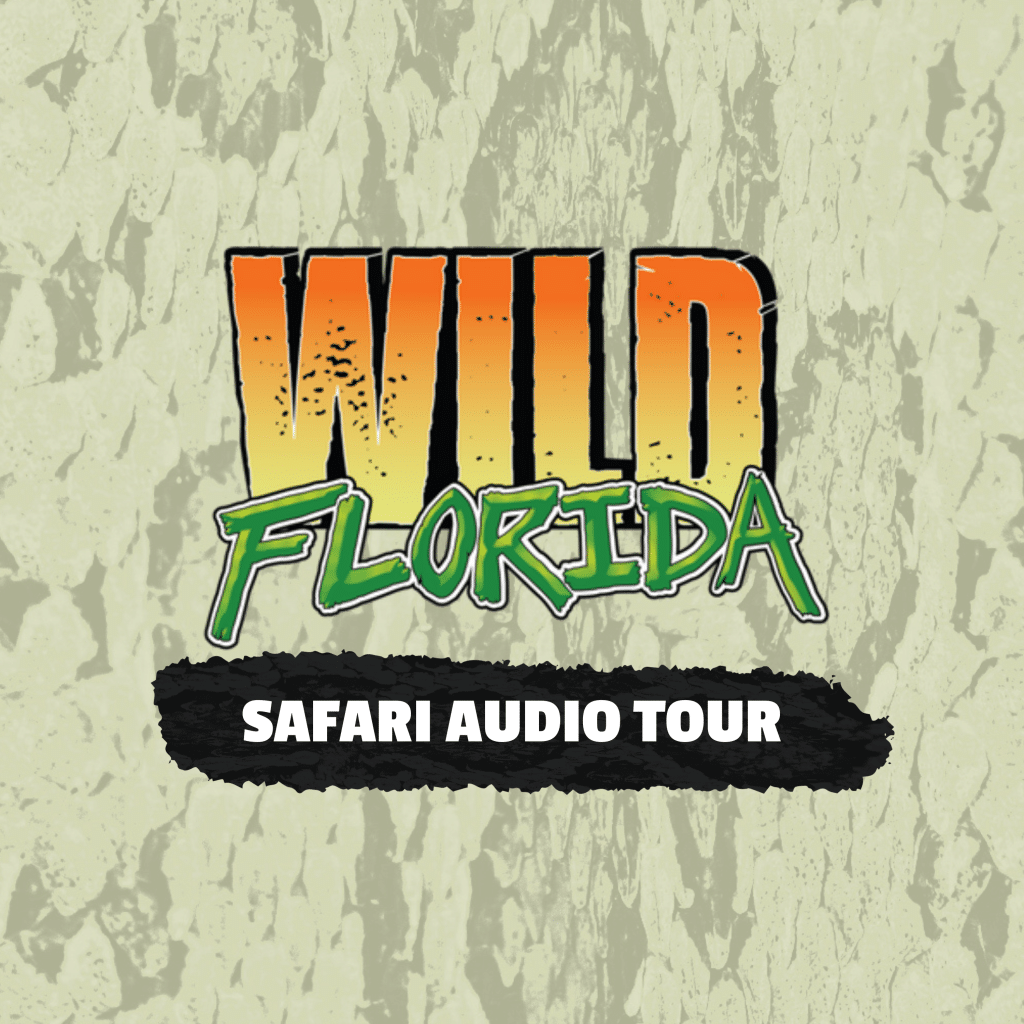 Wild Florida Safari Audio Tour